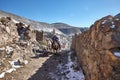 Cowboy riding a horse in Real de Catorce Mexico