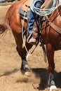 A cowboy riding a horse. Royalty Free Stock Photo