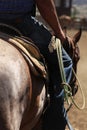 A cowboy riding a horse. Royalty Free Stock Photo