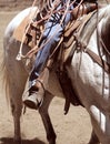 A cowboy riding a horse. Royalty Free Stock Photo