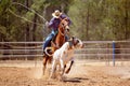 Calf Roping At An Australian Country Rodeo Royalty Free Stock Photo