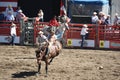 Cowboy Riding the wild horse.