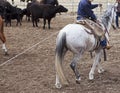 Cowboy riding work horse Royalty Free Stock Photo