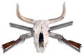 Cowboy Rifles and Cow Skull.