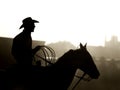 Cowboy at rodeo