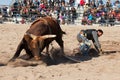 Cowboy Rodeo Bull Riding Royalty Free Stock Photo