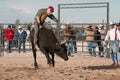 Cowboy Rodeo Bull Riding