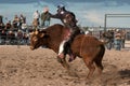 Cowboy Rodeo Bull Riding Royalty Free Stock Photo