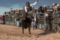 Cowboy Rodeo Bull Riding Royalty Free Stock Photo