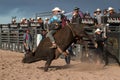 Cowboy Rodeo Bull Riding Royalty Free Stock Photo