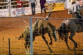 Cowboy rodeo championship in the evening