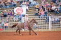 Cowboy rodeo championship in the evening