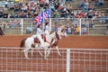 Cowboy rodeo championship in the evening