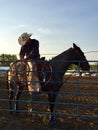 Cowboy at rodeo