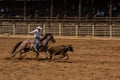 Cowboy Ropes Calf At Rodeo In South Dakota