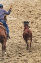 Cowboy roping a calf