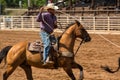Cowboy Roping a Calf at Rodeo in South Dakota
