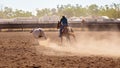 Camp Draft Event , Rounding Up Cattle - Unique To Australia Royalty Free Stock Photo