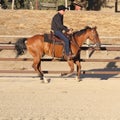 A cowboy running on a horse I