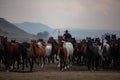 Cowboy running with wild horses in Cappadocia