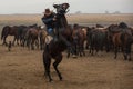 Cowboy running with wild horses in Cappadocia