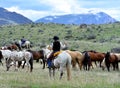 Cowboy in the saddle holding a lariat.