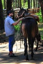 Cowboy Saddles Horse