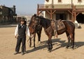 Cowboy Sheriff and horses Royalty Free Stock Photo