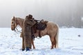 Cowboy shooting across his saddle Royalty Free Stock Photo