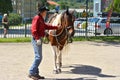 Cowboy show