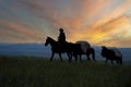 Cowboy silhouette against dwan sky