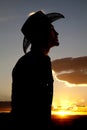 Cowboy silhouette profile Royalty Free Stock Photo