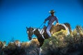 Cowboy Silhouette