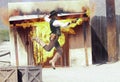 A Cowboy Stuntman Performs at Old Tucson