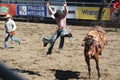 Cowboy thrown from bucking horse Royalty Free Stock Photo