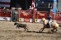 Cowboy Tie-Down Roping