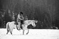 Cowboy tired in the saddle