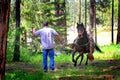 Cowboy Training Running Horse Royalty Free Stock Photo