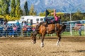 Cowboy tries to keep on kicking horse