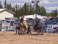 Cowboy trying to hold on to a wild horse.