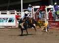 Cowboy trying to ride a wild bull,