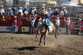 Cowboy Wild Horse Riding