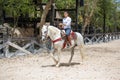 Cowboy working with a young horse.