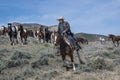 Cowboy wrangler riding paint horse leading herd of galloping horses at a gallop