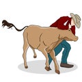 Cowboy Wrangling a Calf Royalty Free Stock Photo