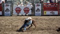 Cowboy wrestling a steer