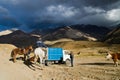 Cowboys, The andes, Cajon del Maipo