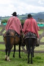 Cowboys from the Andes called chagra in Ecuador