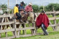 Cowboys from the Andes sitting on the fence during rodeo