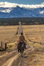 Cowboys on Cattle Drive on long dirt road to San Juan Mountains